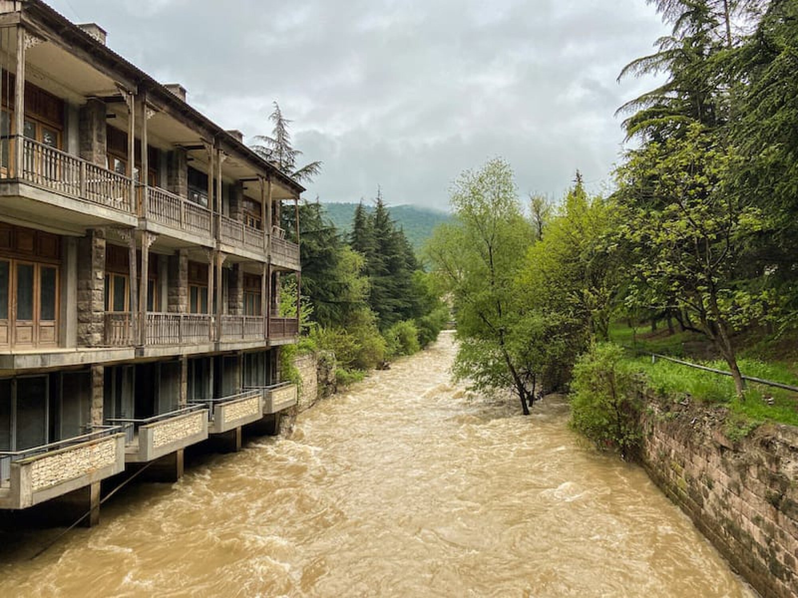 Paesaggio boschivo dei dintorni di Ijevan in autunno