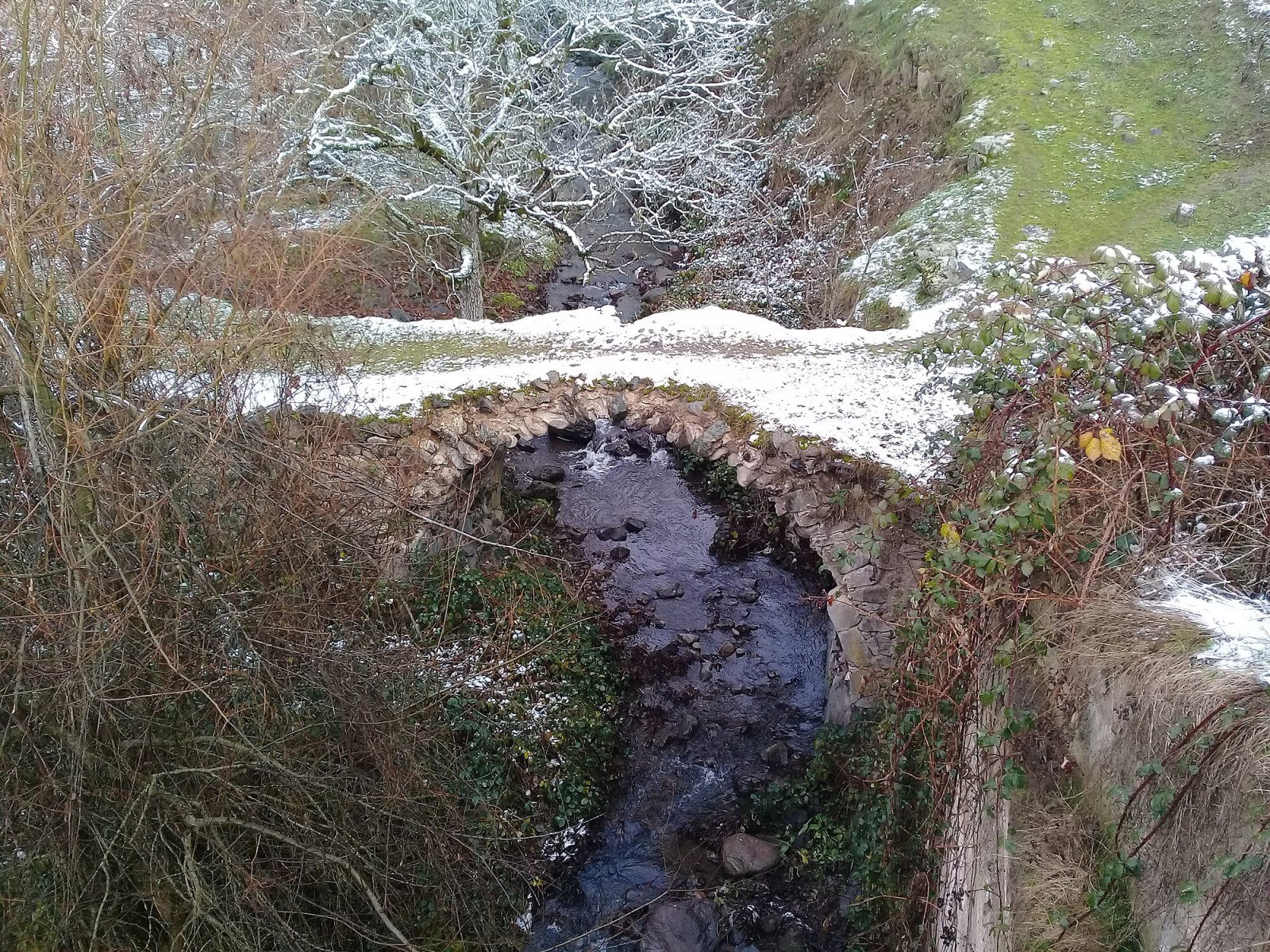 Valley and Shikahogh River through the Hyrcanian relict forest of Syunik