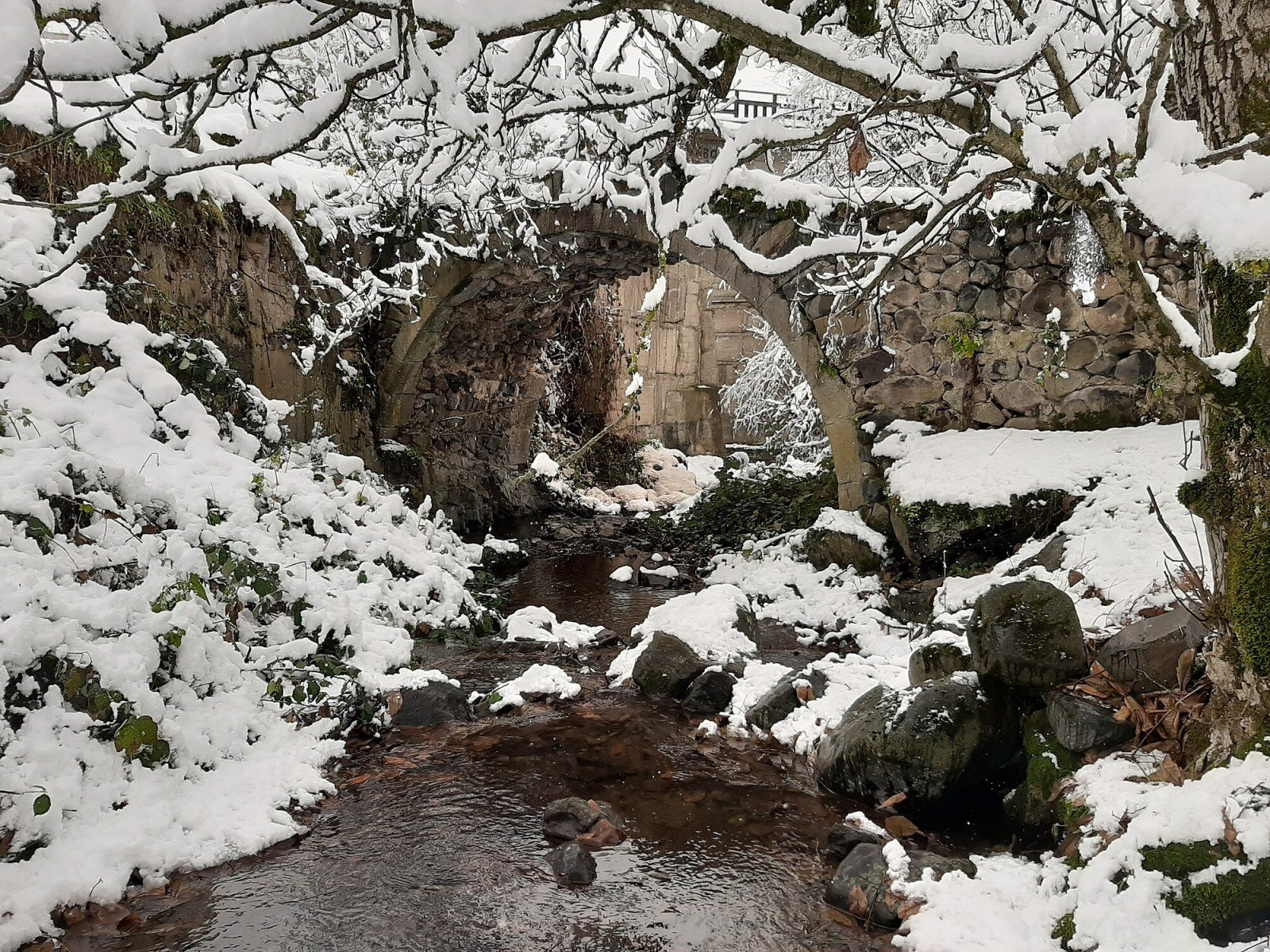 Autumn landscape in Shikahogh State Reserve, Armenia