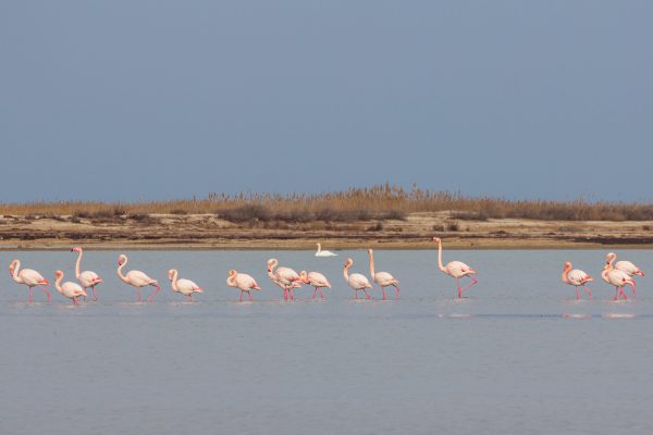 Absheron National Park — 4