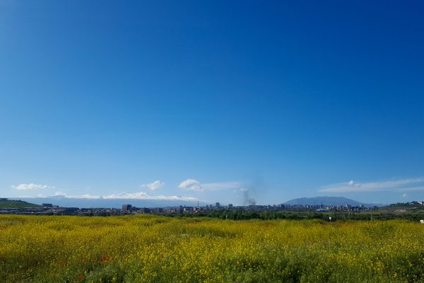 Shengavit Settlement — 5