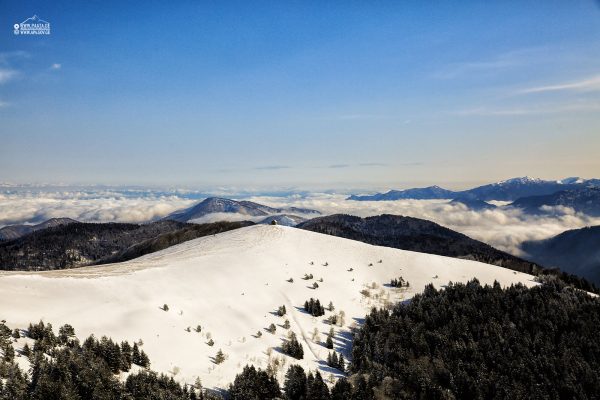 Borjomi-Kharagauli National Park — 2