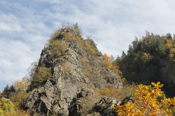 Borjomi-Kharagauli National Park — 6