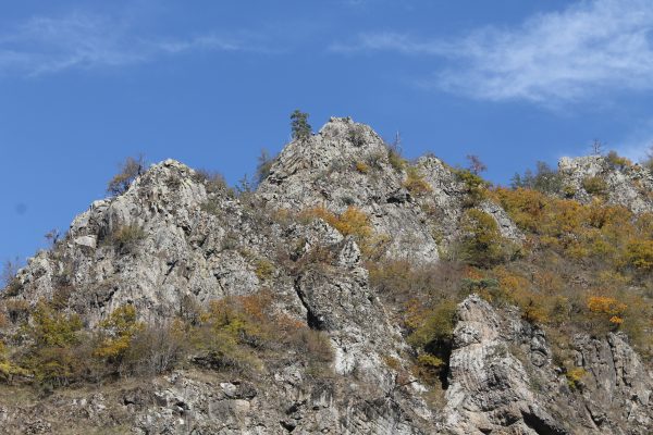 Borjomi-Kharagauli National Park — 7