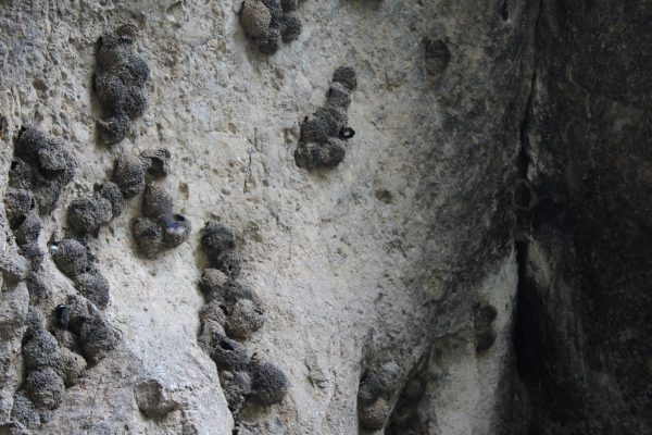 Areni-1 Cave — 6