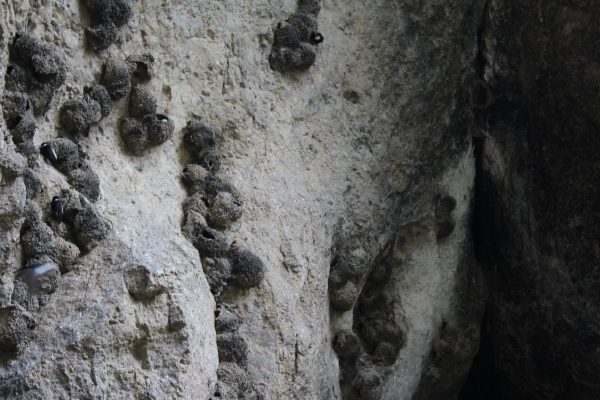 Areni-1 Cave — 7