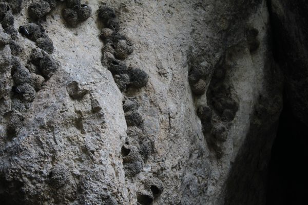Areni-1 Cave — 8
