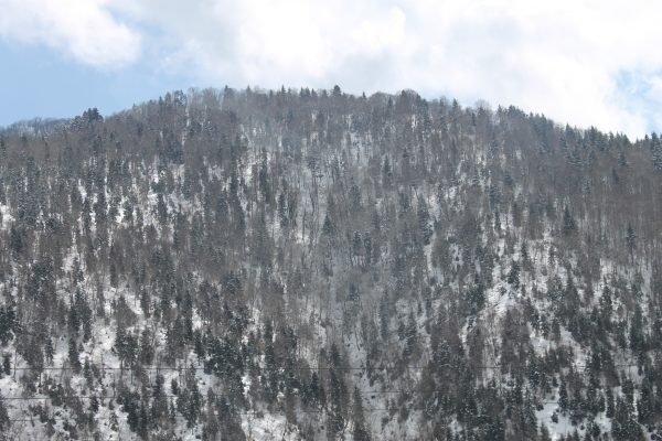 Gabala — 6