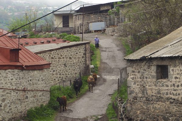 Goris — 7
