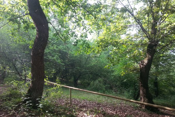 Goygol National Park — 3