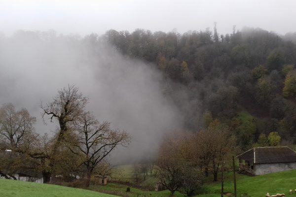 Hirkan National Park — 5