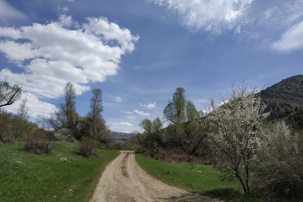 Khosrov-Waldreservat