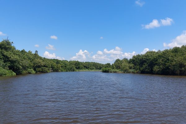 Kolkheti National Park — 2
