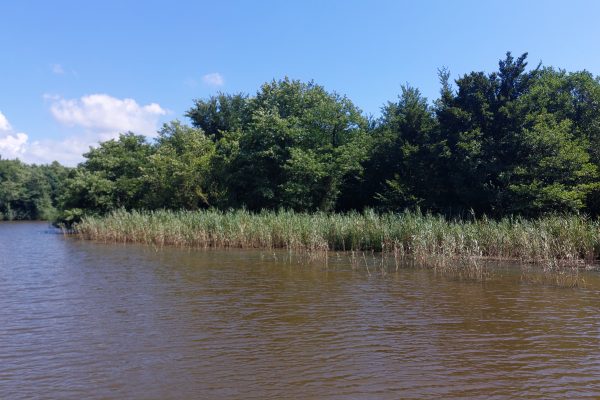 Kolkheti National Park — 4