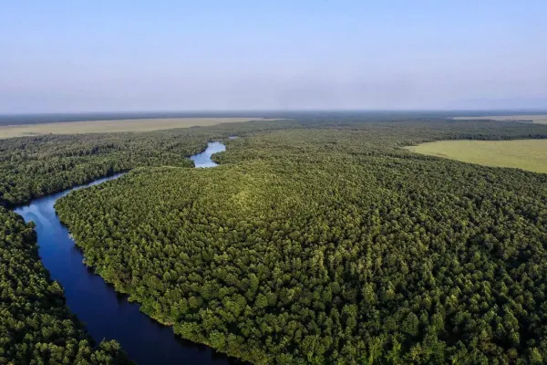 Parque Nacional de Kolkheti