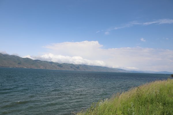 Sewansee — 8