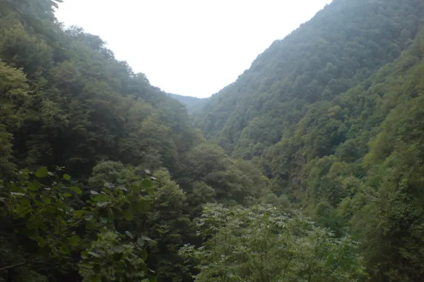 Parque Nacional de Lagodeji