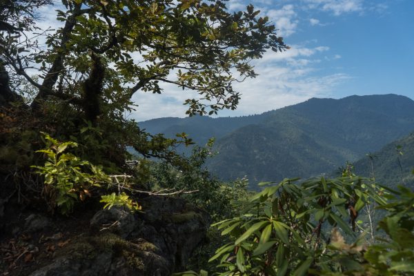 Machakhela National Park — 4