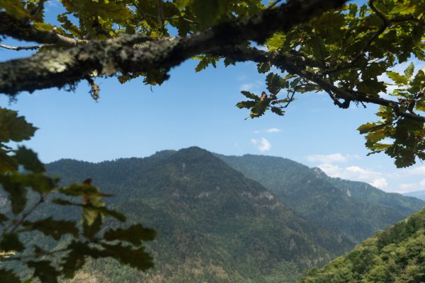 Machakhela National Park — 5