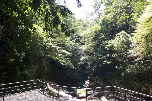 Martvili Canyon — 2