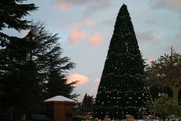 Parque Mtatsminda — 8