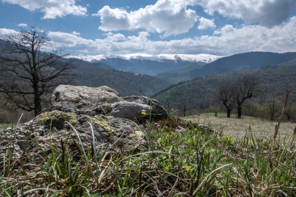 Dilijan National Park — 2