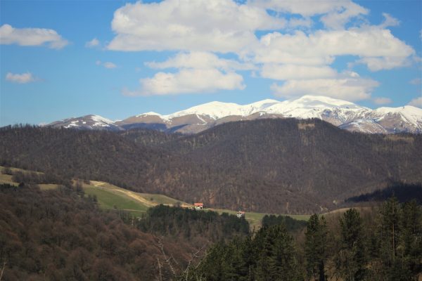 Dilijan National Park — 3
