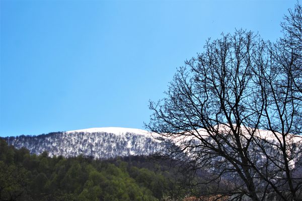 Dilijan National Park — 4