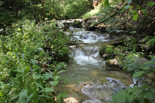 Dilijan National Park — 5