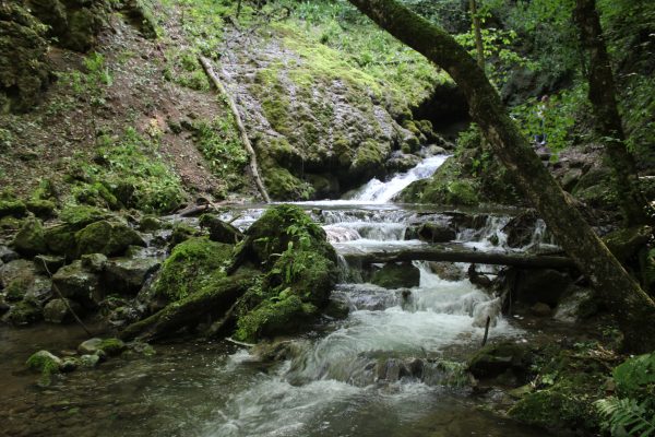 Dilijan National Park — 6