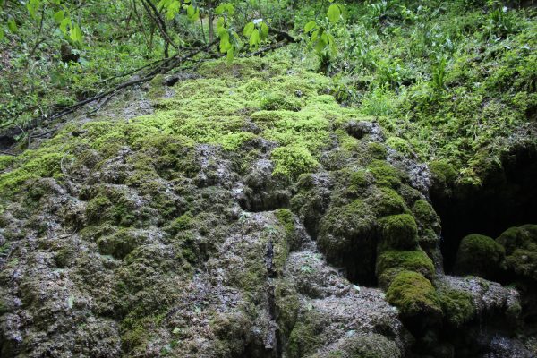 Dilijan National Park — 7