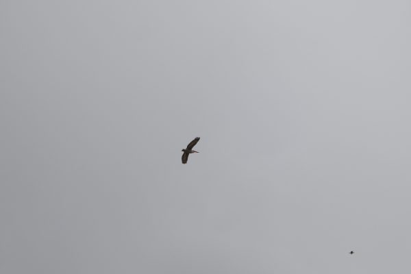 Lake Arpi National Park — 3