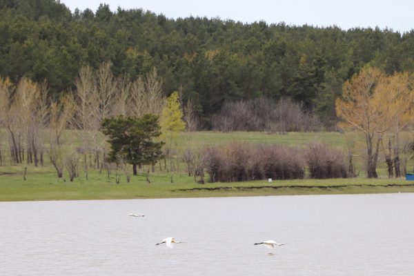 Lake Arpi National Park — 4