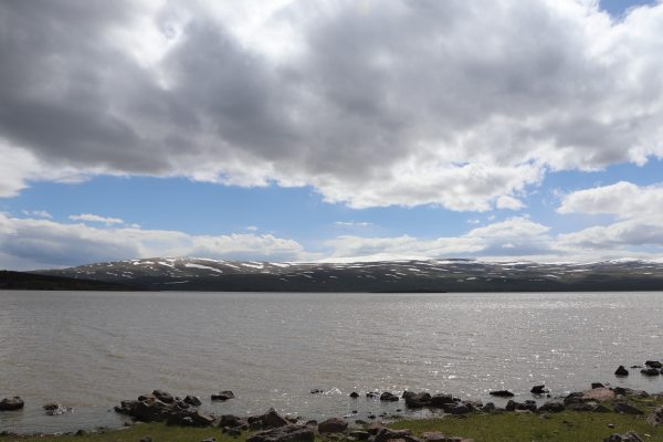 Lake Arpi National Park — 5