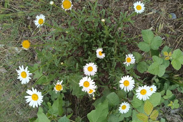 Syunik Province — 3