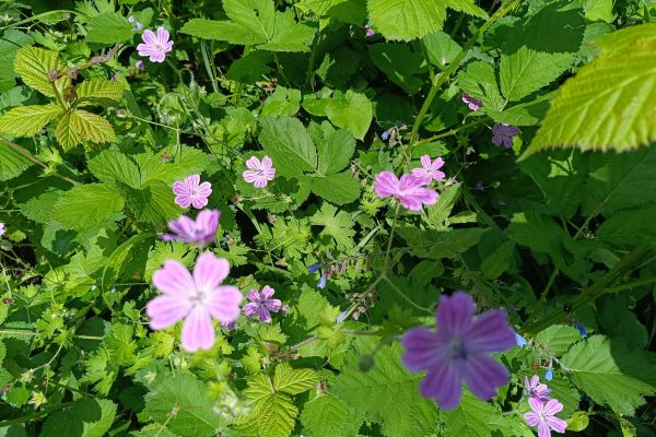 Syunik Province — 5