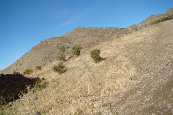 Khosrov Forest State Reserve — 6