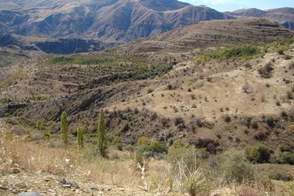 Khosrov Forest State Reserve — 7