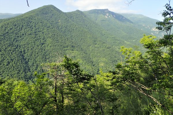 Shikahogh State Reserve — 2