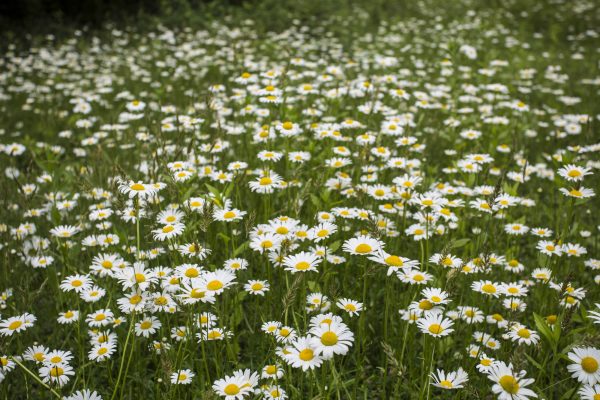 Sataplia Nature Reserve — 3