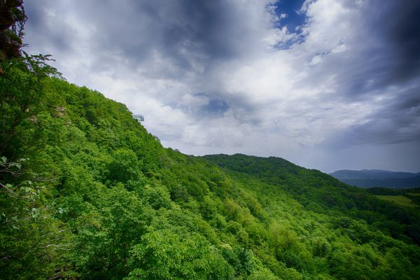 Sataplia Nature Reserve — 5