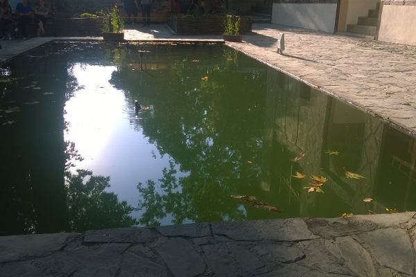 Sheki — 6